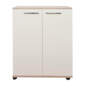 PORTE CHAUSSURES CLASSIQUE 2P PORTE CHAUSSURES CLASSIQUE 2P